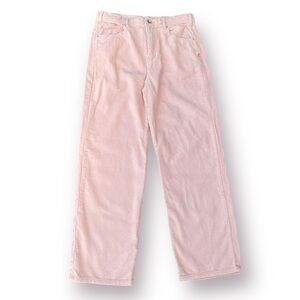 BDG Urban Outfitters Pink Corduroy Size 32